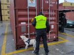 Funkcjonariusze Służby Celno-Skarbowej z psem przy podejrzanym kontenerze.