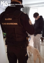 Funkcjonariusz Służby Celno-Skarbowej w czarnym mundurze stoi tyłem. W dali widać mężczyznę z jasnym psem.  W lewym górnym rogu logo Krajowej Administracji Skarbowej.